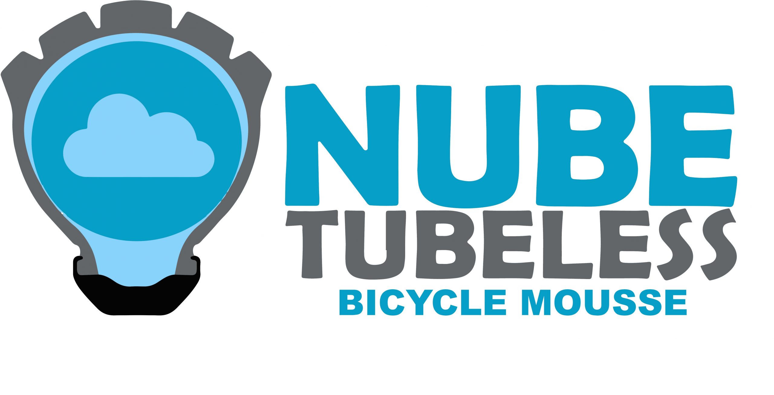 Valvulas para Nube Tubeless 45 mm varios colores – Tienda de Bicicletas  zetabikes