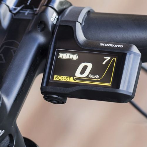 Display Shimano Steps SC-E8000