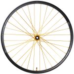 Ruedas Industry Nine Hydra2 DH
