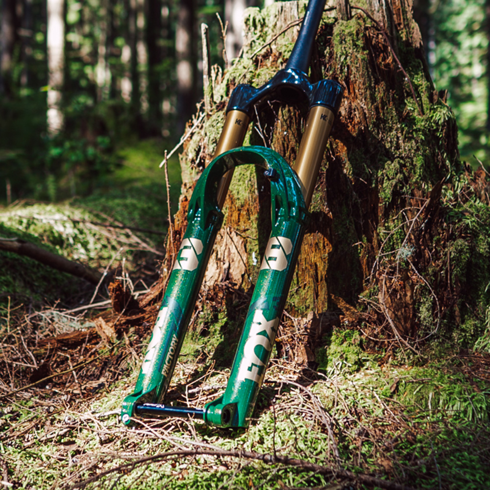 Hoquilla fox 38 green edición limitada en el bosque apoyada en un árbol